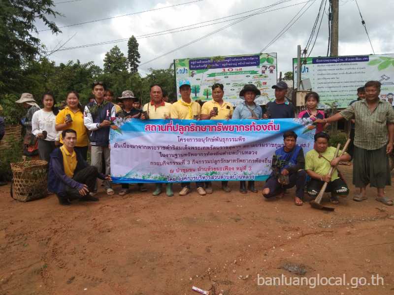 โครงการอนุรักษ์พันธุกรรมพืชอันเนื่องมาจากพระราชดำริสมเด็จพระเทพรัตนราชสุดาฯ สยามบรมราชกุมารี –องค์การบริหารส่วนตำบลบ้านหลวง (อพ.สธ.-อบต.บ้านหลวง)  ประจำปีงบประมาณ 2567