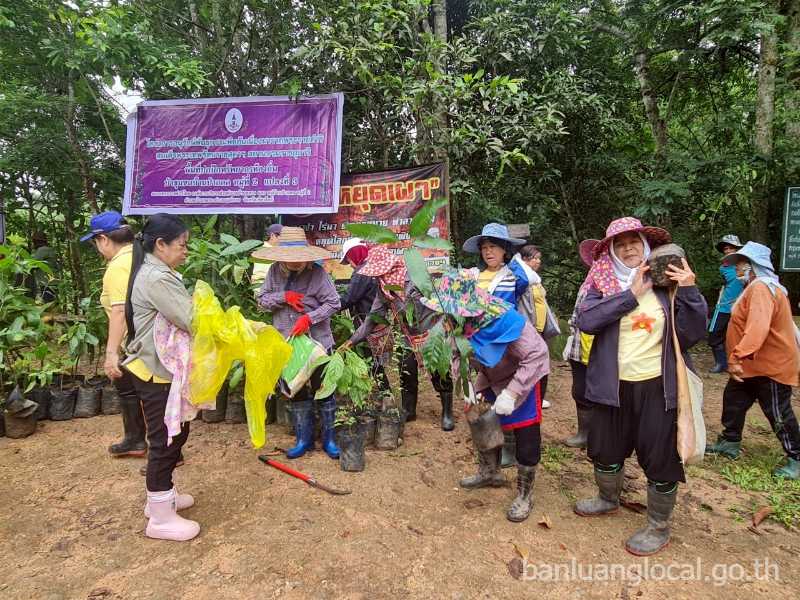 โครงการอนุรักษ์พันธุกรรมพืชอันเนื่องมาจากพระราชดำริสมเด็จพระเทพรัตนราชสุดาฯ สยามบรมราชกุมารี องค์การบริหารส่วนตำบลบ้านหลวง (อพ.สธ. อบต.บ้านหลวง) ประจำปีงบประมาณ 2568
